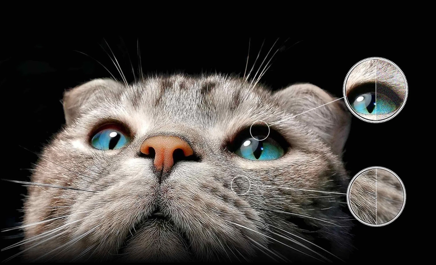 Преимущества iFFalcon U65