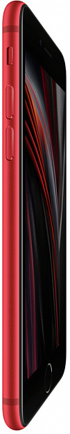 Apple iPhone SE 128GB (2020) (красный) фото 4