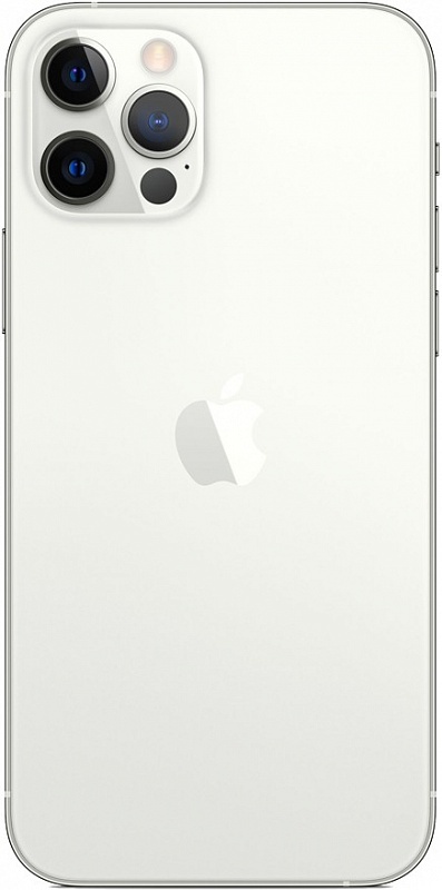 Apple iPhone 12 Pro Max 256GB (серебро) фото 1