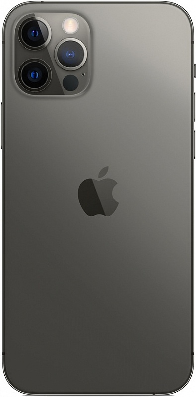 Apple iPhone 12 Pro Max 256GB (графитовый) фото 1
