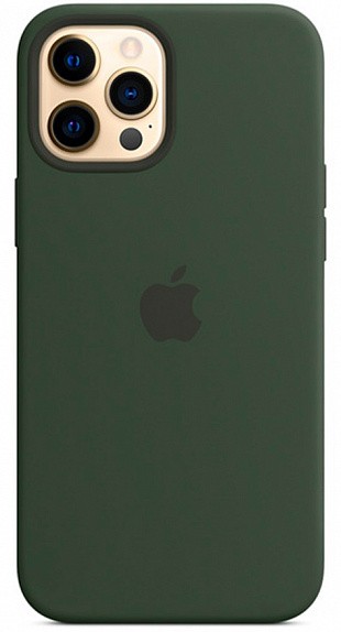 Apple для iPhone 12 Pro Max Silicone Case with MagSafe (зеленый) фото 1