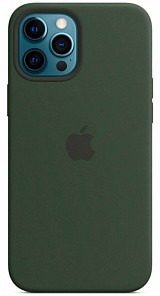 Apple для iPhone 12 Pro Max Silicone Case with MagSafe (зеленый)