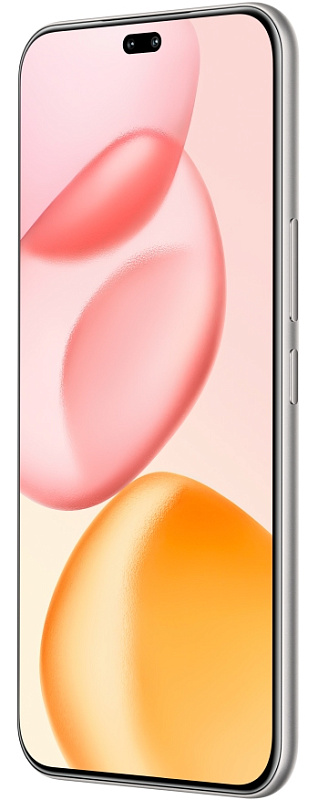 HONOR 400 Pro 12/256GB (титановый серый) фото 3