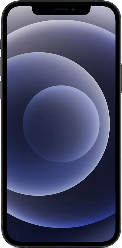 Apple iPhone 12 64GB + адаптер питания (черный) фото 1