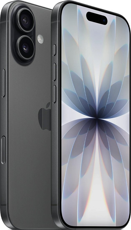 Apple iPhone 17 256GB (черный) фото 1