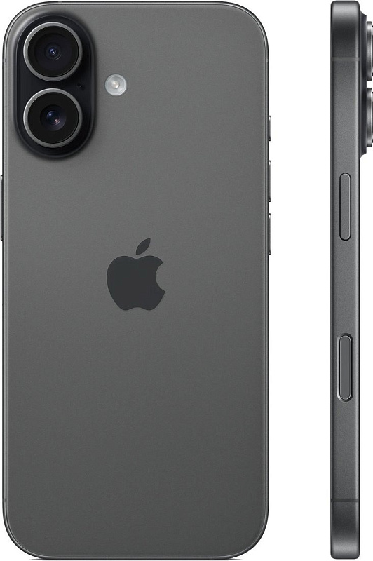 Apple iPhone 17 256GB (черный) фото 2