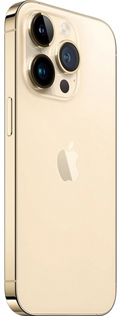 Apple iPhone 14 Pro 256GB (золото) фото 1