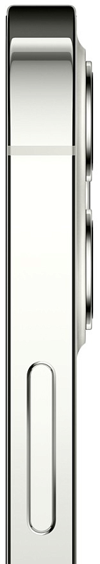 Apple iPhone 12 Pro Max 256GB Грейд B (серебристый) фото 5 Apple iPhone 12 Pro Max 256GB Грейд B (серебристый) фото 5