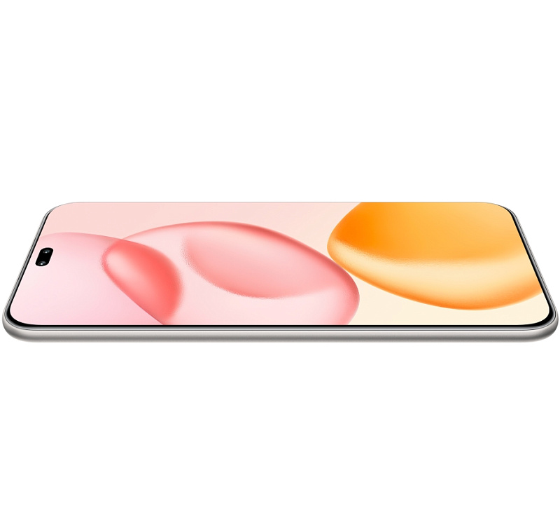 HONOR 400 Pro 12/256GB (титановый серый) фото 9