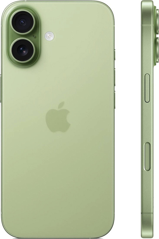 Apple iPhone 17 256GB (шалфей) фото 2