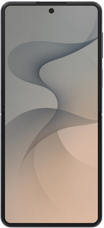 Samsung Galaxy Z Flip8 5G (F776) 12/512GB (графит) фото 1