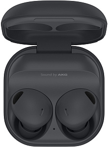Samsung Galaxy Buds 2 Pro (графит)