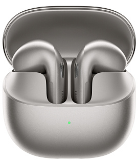 Xiaomi Buds 6 (серый)