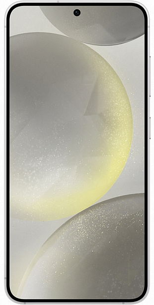 Samsung Galaxy S24+ 12/256GB (серый) фото 2