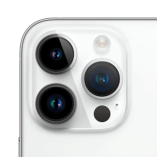 Apple iPhone 14 Pro 256GB (A2892, 2 SIM) (серебристый) фото 2