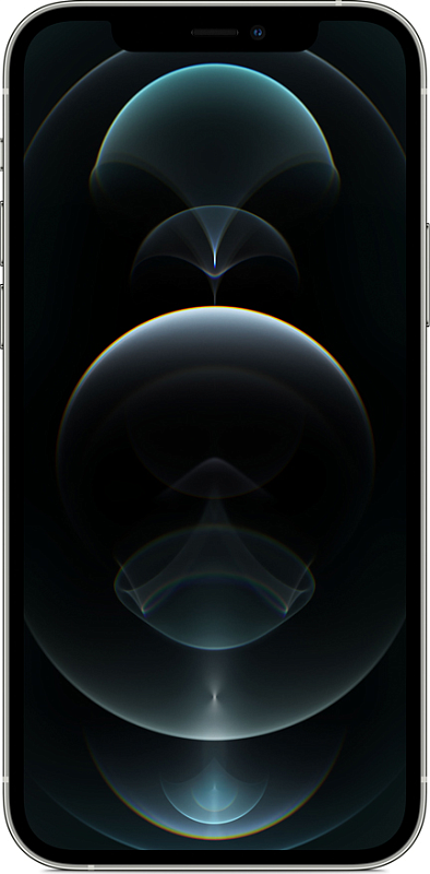 Apple iPhone 12 Pro Max 256GB Грейд B (серебристый) фото 1 Apple iPhone 12 Pro Max 256GB Грейд B (серебристый) фото 1