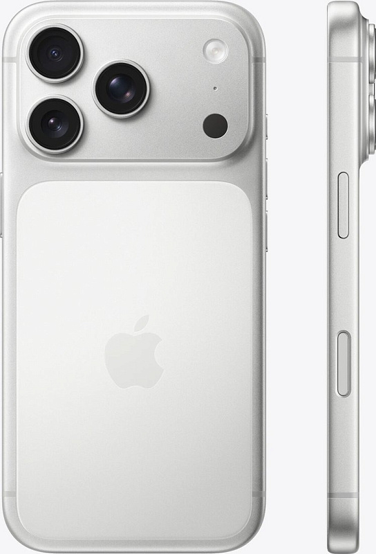 Apple iPhone 17  Pro 256GB (серебристый) фото 1