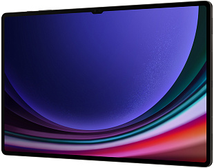 Samsung Galaxy Tab S9 Ultra 5G 12/512GB (серый) фото 3