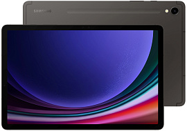Samsung Galaxy Tab S9 5G 12/256GB (серый)