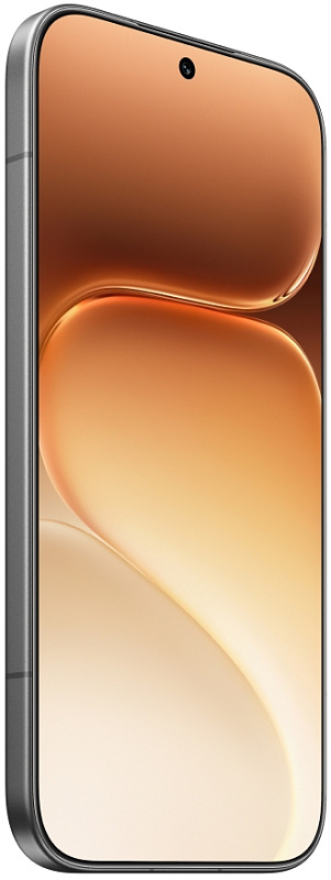 HONOR 600 Pro 12/512GB (черный) фото 1