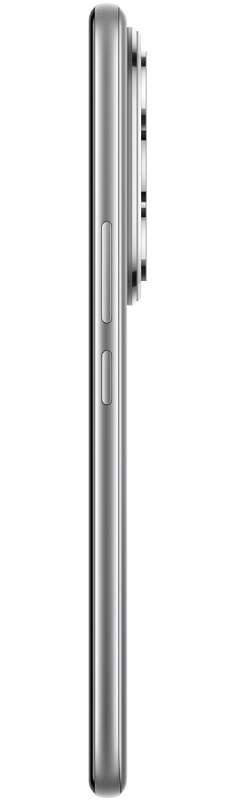 HONOR 400 Pro 12/256GB (титановый серый) фото 4