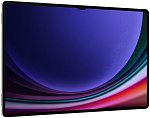 Samsung Galaxy Tab S9 Ultra Wi-Fi 12/512GB (бежевый) фото 1