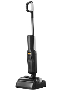 Roborock Wet and Dry Vacuum Cleaner F25 (черный)