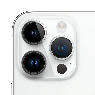 Apple iPhone 14 Pro Max 256GB (A2896, 2 SIM) (серебристый) фото 2