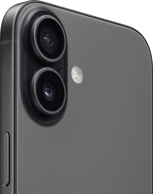 Apple iPhone 17 256GB (черный) фото 3