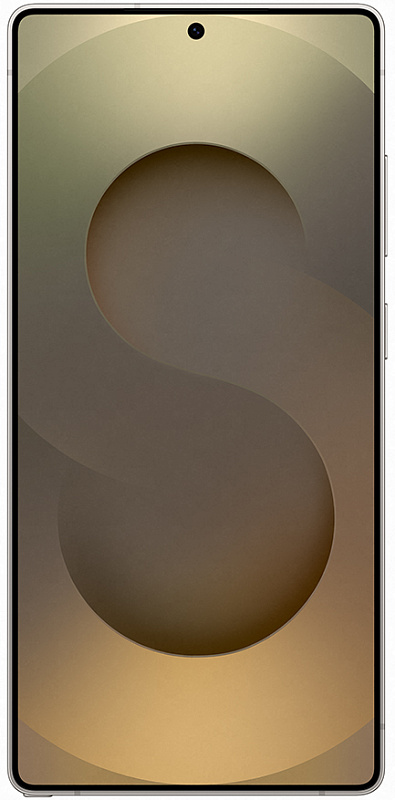 Samsung Galaxy S25 Ultra 5G 12/512GB (серый титан) фото 2