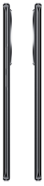 realme 11 Pro + 5G 8/256GB (черный) фото 2