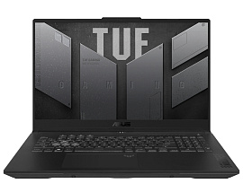 ASUS TUF Gaming F17 FX707VJ-HX017 16/512GB (серый)