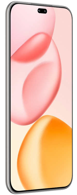 HONOR 400 Pro 12/256GB (титановый серый) фото 1