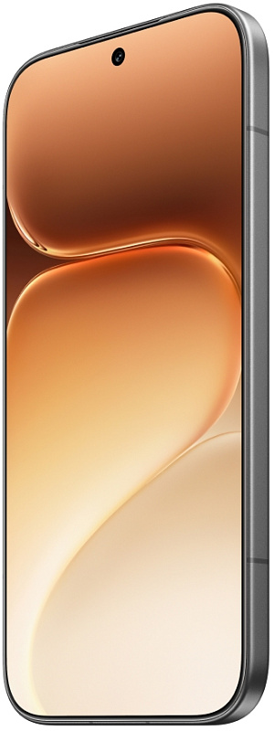 HONOR 600 Pro 12/512GB (черный) фото 3