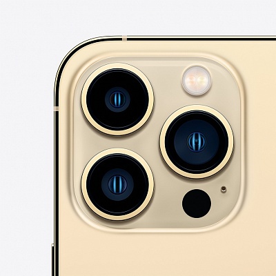 Apple iPhone 13 Pro Max 256GB (золотой) фото 3