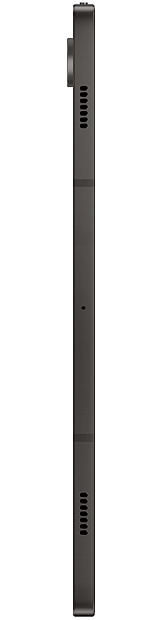 Samsung Galaxy Tab S9 5G 12/256GB (серый) фото 5