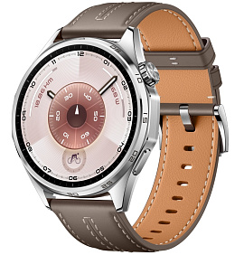 Huawei Watch GT 6 46 мм ATM-B19 (серый)