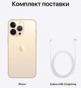 Apple iPhone 13 Pro Max 256GB (золотой) фото 5