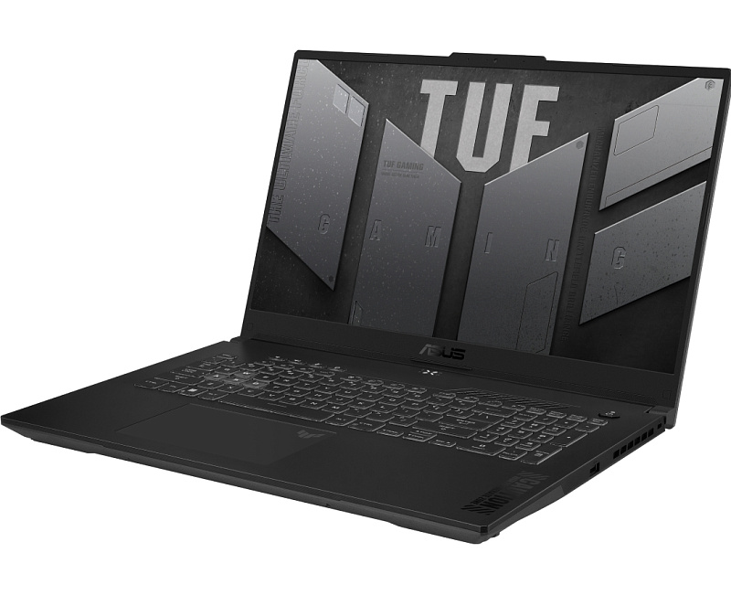 ASUS TUF Gaming F17 FX707VJ-HX017 16/512GB (серый) фото 2