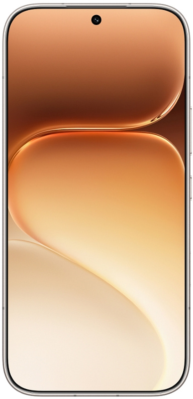 HONOR 600 Pro 12/256GB (бежевый) фото 2