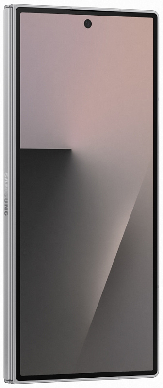 Samsung Galaxy Z Fold7 5G F966 12/256GB (серый) фото 1
