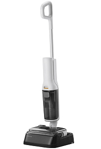 Roborock Wet and Dry Vacuum Cleaner F25 RT (белый)