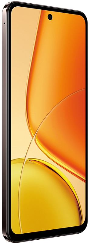 Vivo Y29 8/256GB (шоколад) фото 1