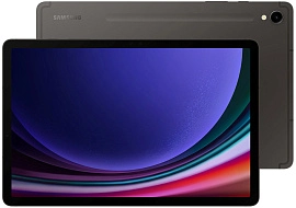 Samsung Galaxy Tab S9 Wi-Fi 12/256GB (серый)