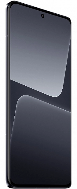 Xiaomi 13 Pro 12/512GB (черный) фото 1