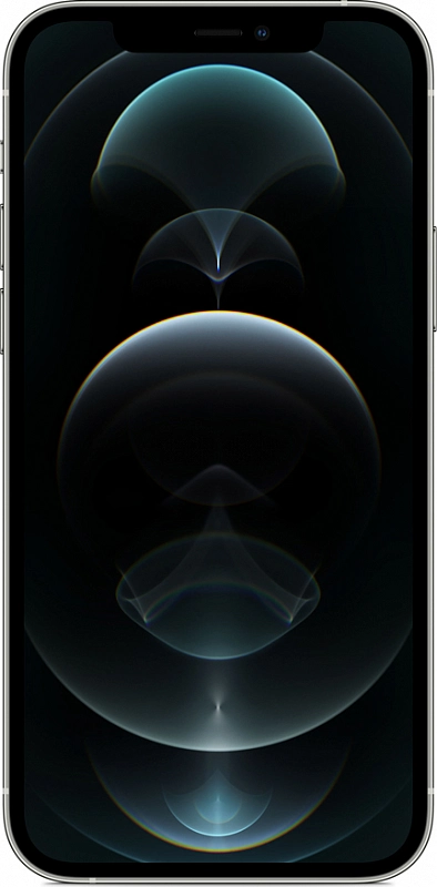 Apple iPhone 12 Pro 256GB Грейд B (серебристый) фото 1
