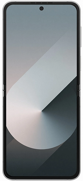 Samsung Galaxy Z Flip6 F741 12/512GB (серый) фото 3
