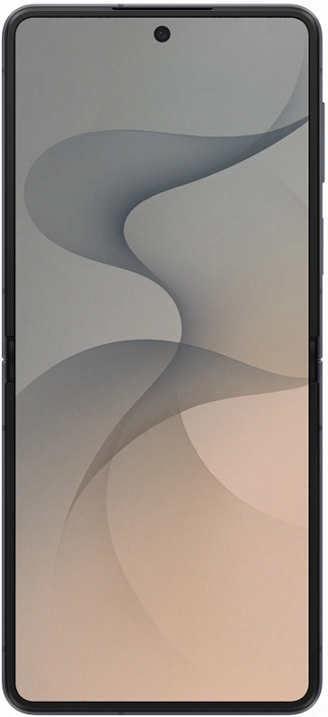 Samsung Galaxy Z Flip8 5G (F776) 12/256GB (графит) фото 1