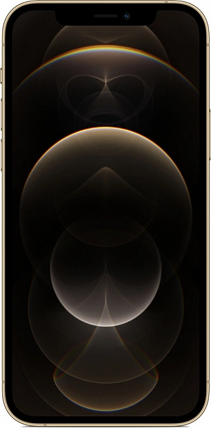 Apple iPhone 12 Pro 256GB Грейд B (золотой) фото 1