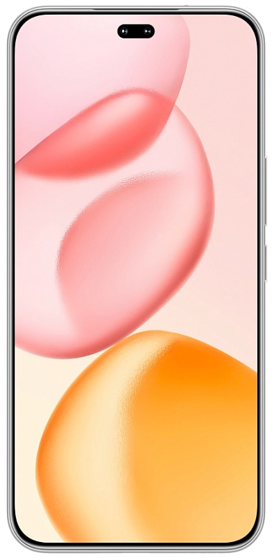 HONOR 400 Pro 12/256GB (титановый серый) фото 2